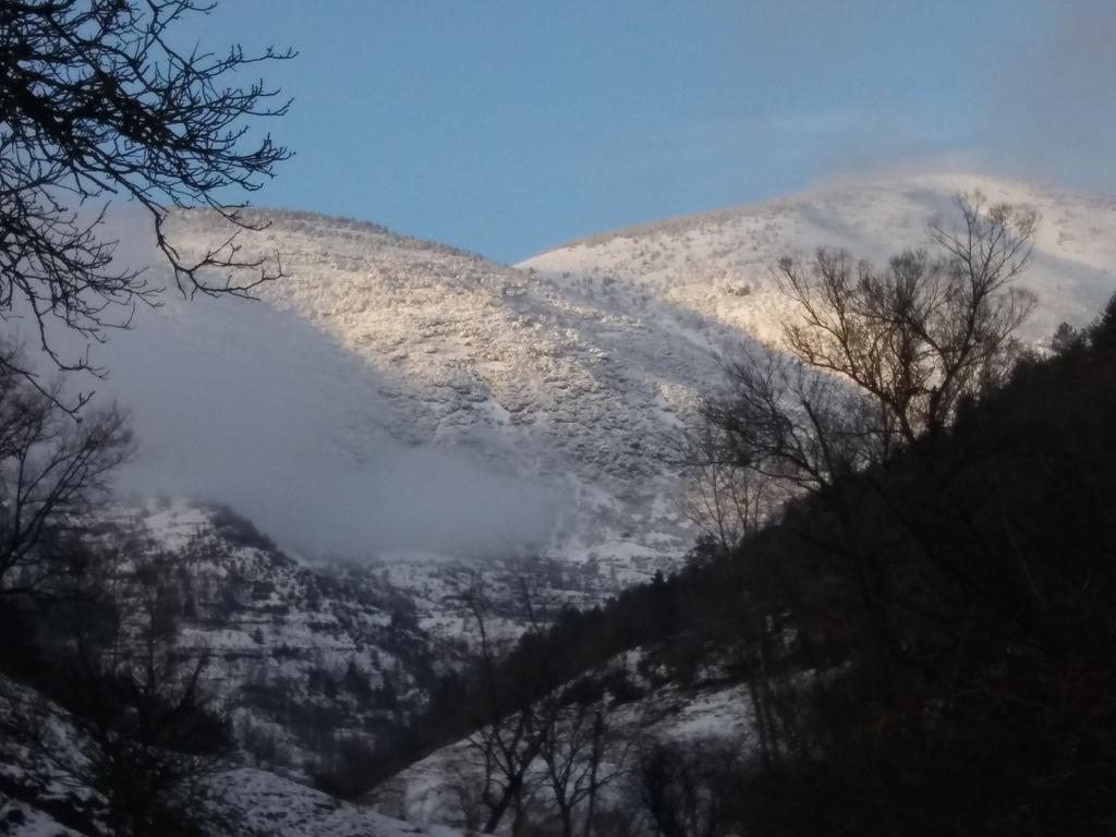 Casa Rural Moli De Fornols Hotel Eksteriør billede