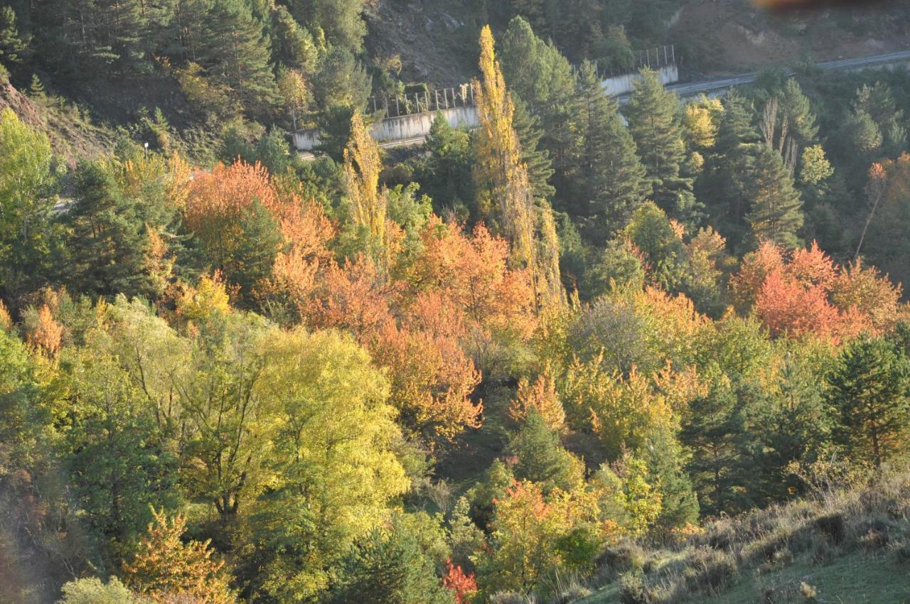 Casa Rural Moli De Fornols Hotel Eksteriør billede