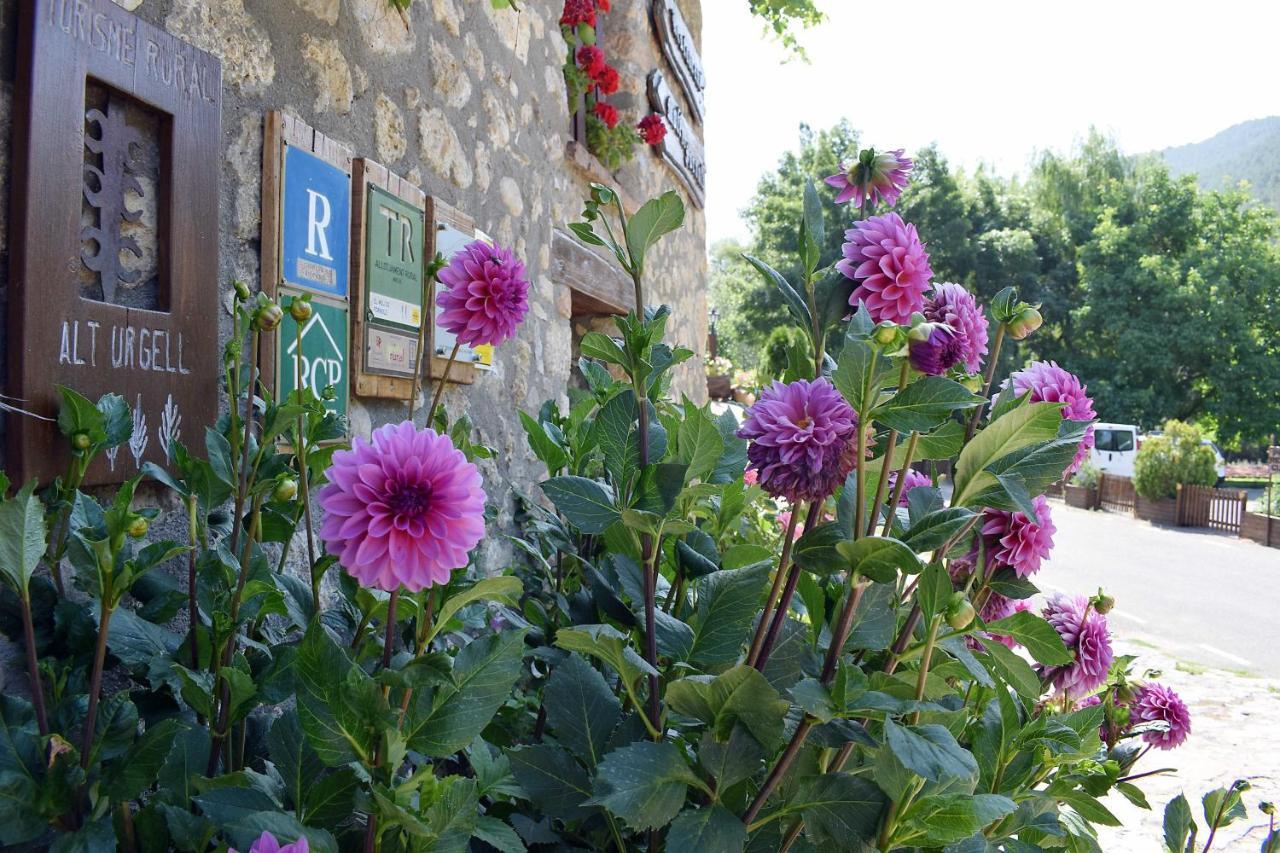 Casa Rural Moli De Fornols Hotel Eksteriør billede